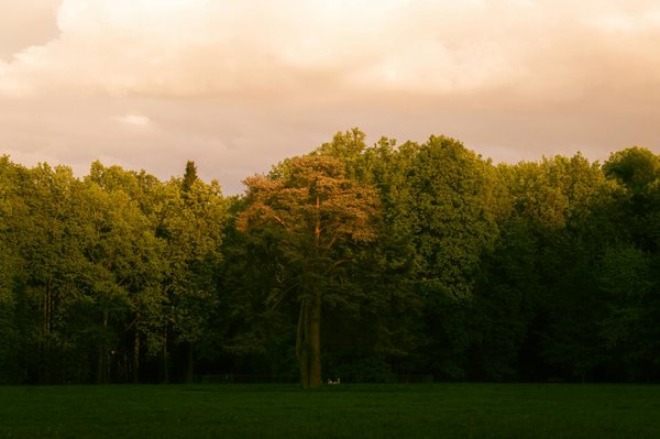 Guide pour un accouchement naturel à la maison
