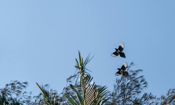 Le néphrologue et le diabète : une relation importante